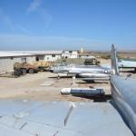 Cambria_0175 (November 02, 2013)